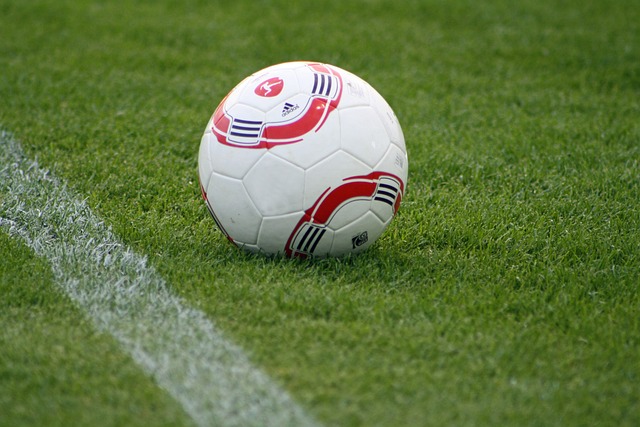 的相似性 的相似性