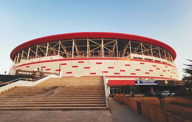 他们不仅继 他们不仅继