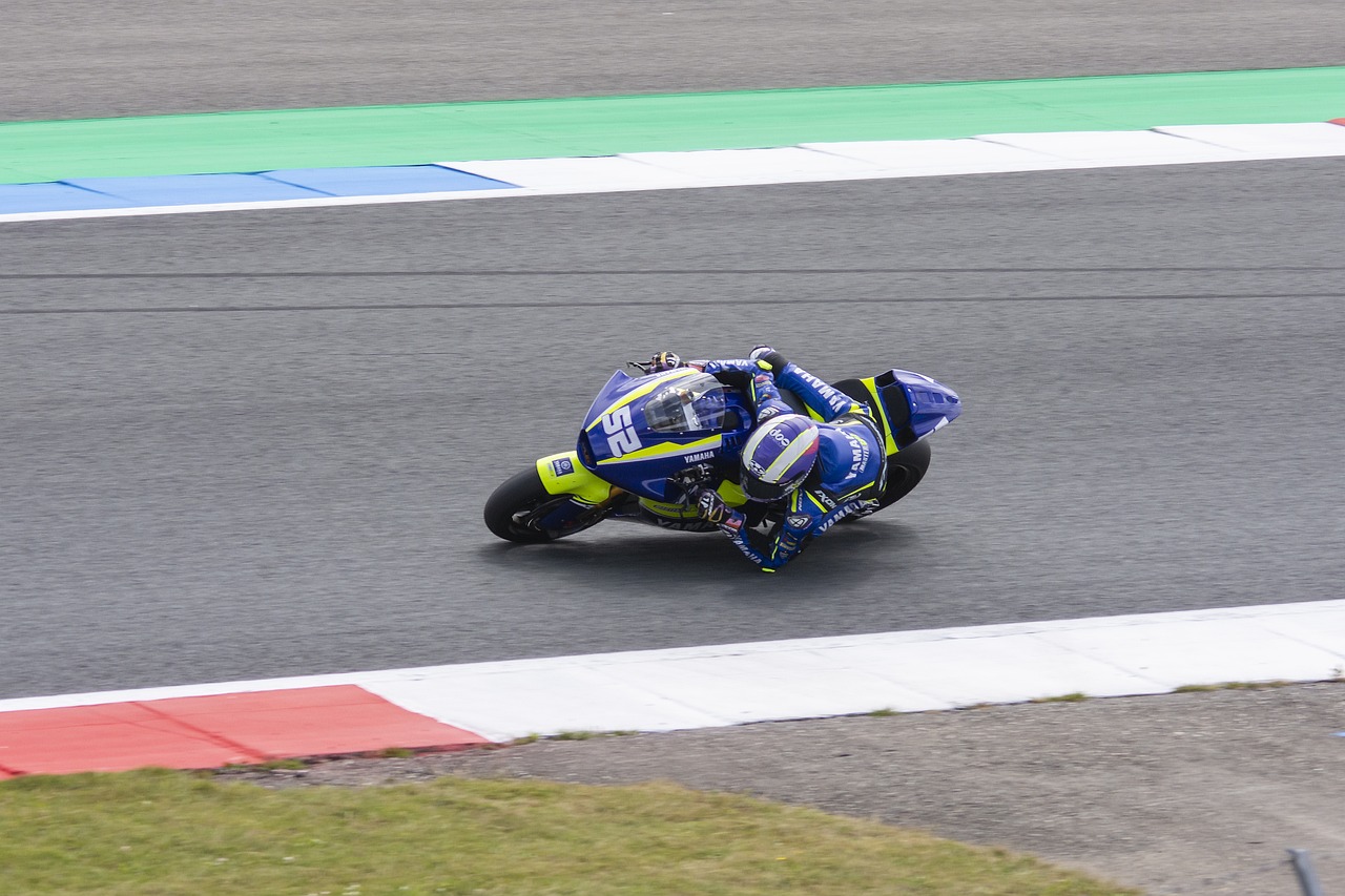 新人可以为 新人可以为