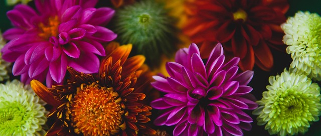 无可否认 无可否认