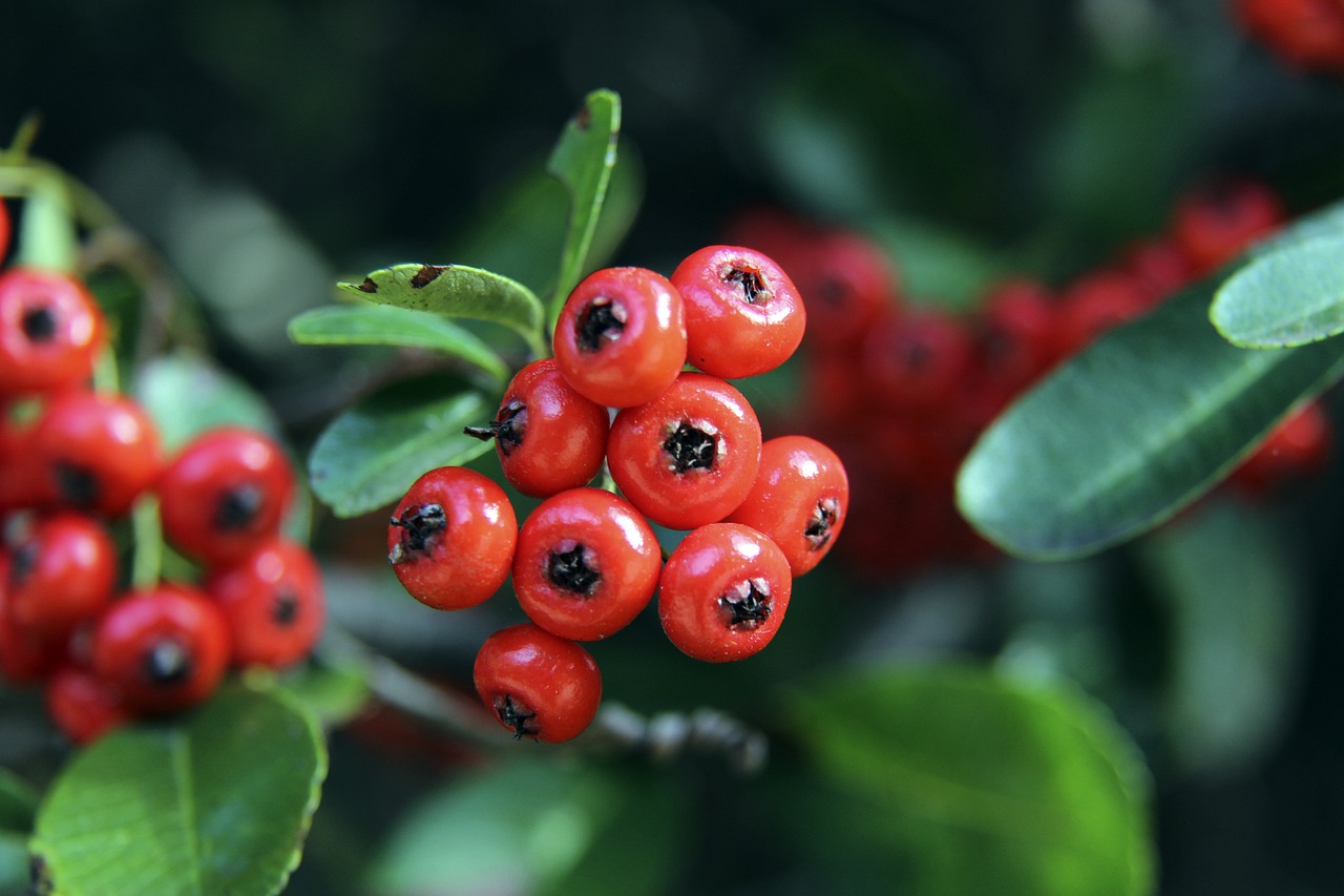 虚拟现实技 虚拟现实技