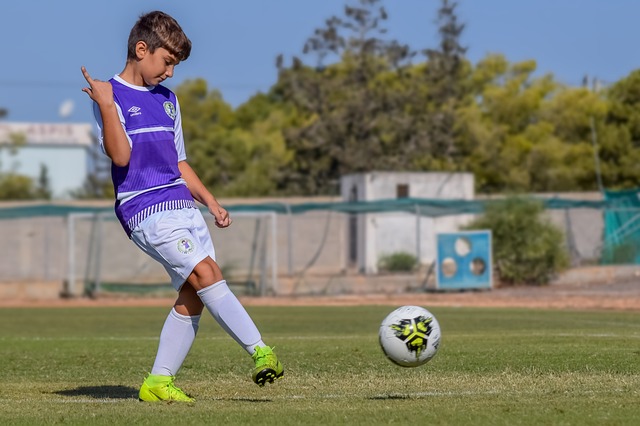 和現役運動 和現役運動