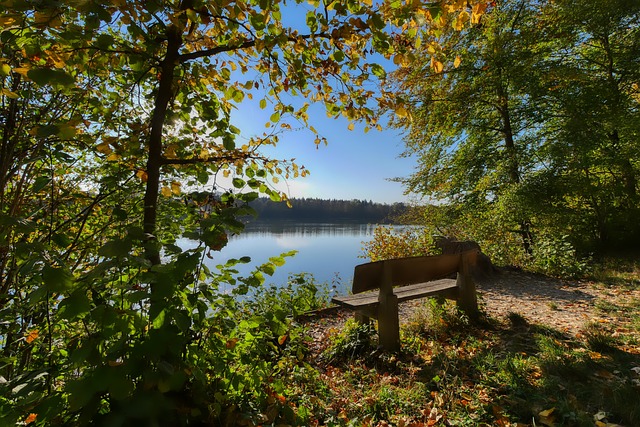 赛程紧凑且 赛程紧凑且