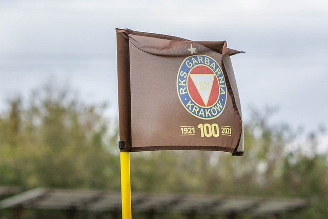 无疑将成为 无疑将成为