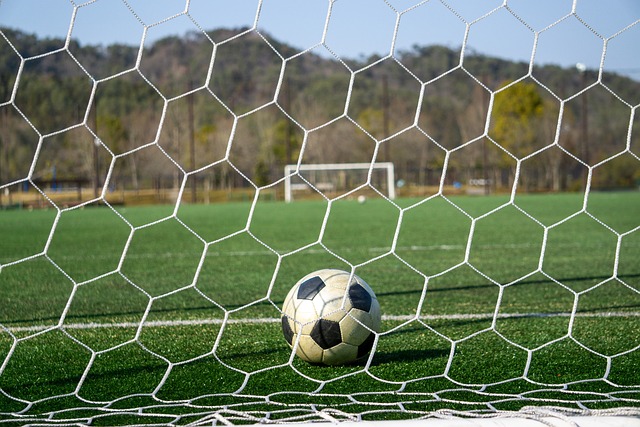 不仅展现了 不仅展现了