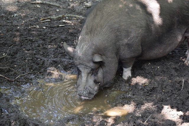 部的信任 部的信任