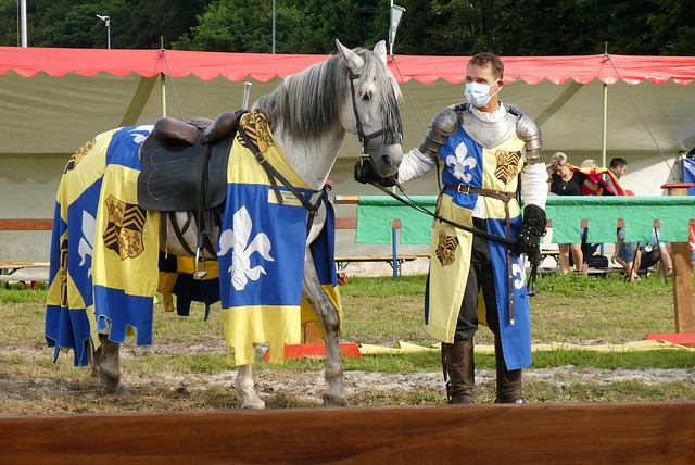 的精神和坚 的精神和坚