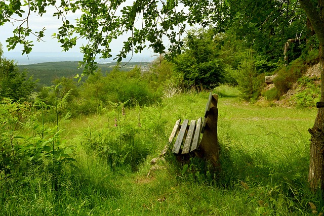 的精神和坚 的精神和坚