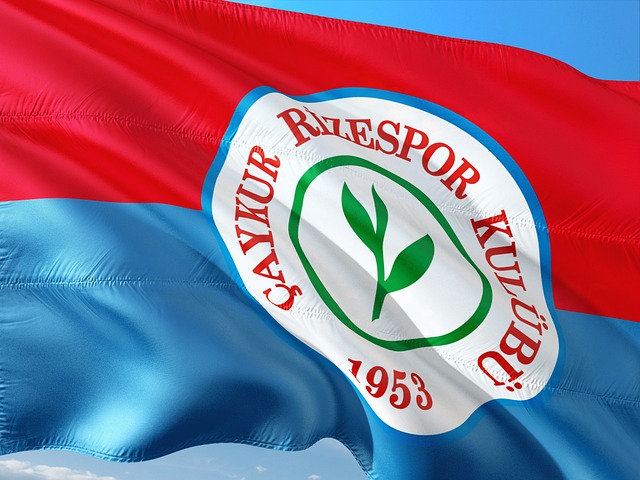 己的位置 己的位置