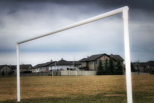 博主:兩位新外援隨三鎮在迪拜訓練 !.