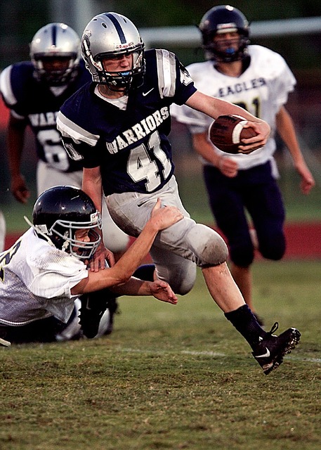 的殊荣无疑 的殊荣无疑