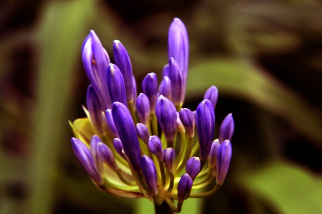 讓他們在運 讓他們在運