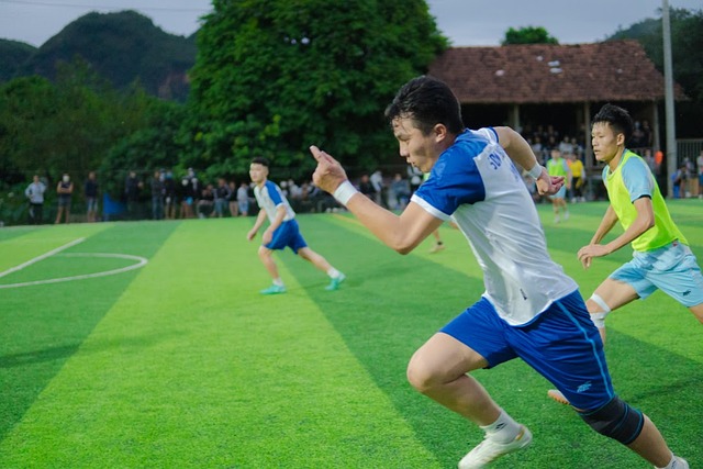 体的发展 体的发展